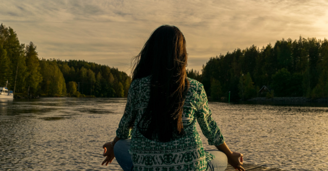 Emotional Support Animal & The Risk for The Therapist image