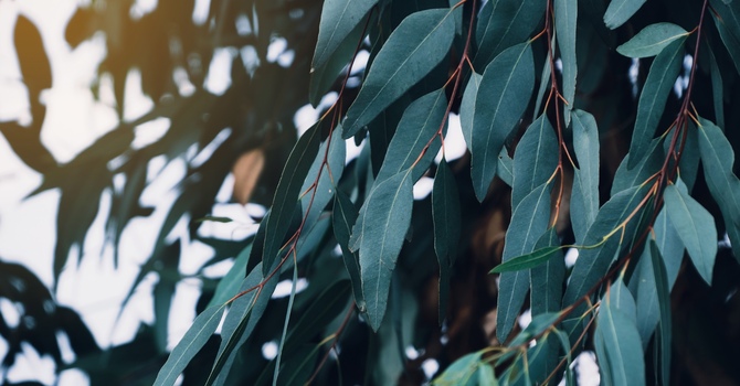 Key Ingredients for Less Burnout When Working at Home