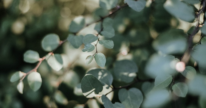 Key Ingredients for Less Burnout When Working at Home