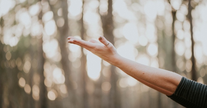 Emotional Support Animal & The Risk for The Therapist